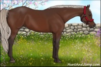 Horse Color:Silver Bay 