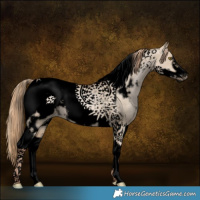 Horse Color:Void White Spotted Liver Red Dun Pearl Tobiano Frame 