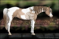 Horse Color:Liver Red Roan Pearl Tobiano Frame