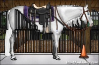 Horse Color:Cremello Dun 