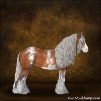 Horse Color:White Spotted Silver Bay Splash