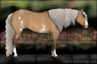 Horse Color:White Spotted Silver Bay Dun Splash 