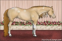 Horse Color:Red Roan Pearl Tobiano Frame 