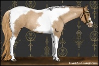 Horse Color:Liver Red Roan Pearl Tobiano Frame