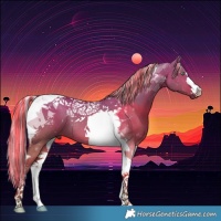 Horse Color:Painted Silver Brown Dun Tobiano