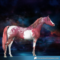 Horse Color:Painted Silver Brown Dun Tobiano