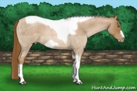 Horse Color:Liver Red Roan Pearl Tobiano Frame