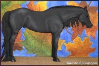 Horse Color:Blue Roan 