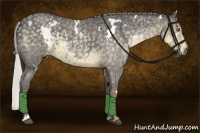 Horse Color:White Spotted Silver Smoky Blue Chinchilla Roan 