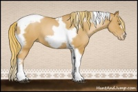 Horse Color:Red Roan Pearl Tobiano Frame 