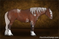 Horse Color:White Spotted Silver Brown Splash 