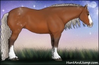 Horse Color:White Spotted Silver Bay Splash