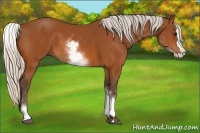 Horse Color:White Spotted Silver Bay Splash 