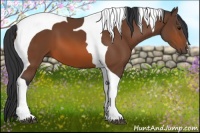 Horse Color:Bay Tobiano 