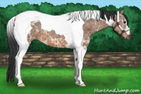 Horse Color:Bay Ice Tobiano 