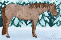 Horse Color:Red Roan 