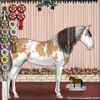 Horse Color:White Spotted Sable Cream Champagne Splash 