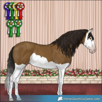 Horse Color:Gray Classic Cream Champagne Splash 