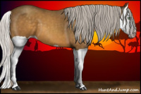 Horse Color:Gray Silver Sable Cream Champagne Splash