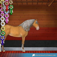 Horse Color:Gray Silver Amber Cream Champagne 