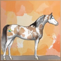 Horse Color:White Spotted Sable Champagne Splash 