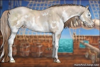 Horse Color:White Spotted Liver Red Dun Pearl Sabino Splash Brindle