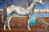 Horse Color:White Spotted Liver Red Dun Onyx 