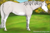 Horse Color:Platinum Silver Sable Champagne Dun Sabino Splash 