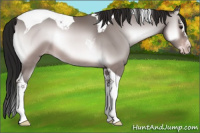 Horse Color:Gray Platinum Sable Cream Champagne Onyx Splash Tobiano Rabicano 