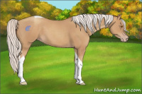 Horse Color:Silver Classic Champagne Tobiano 