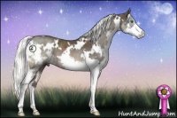 Horse Color:White Spotted Liver Chestnut Mushroom Splash Rabicano 