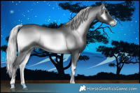 Horse Color:Silver Blue Onyx Chinchilla