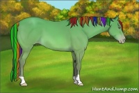 Horse Color:Painted Sable Champagne 