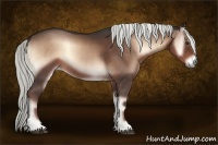 Horse Color:Liver Red Onyx 