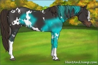 Horse Color:White Spotted Liver Chestnut 