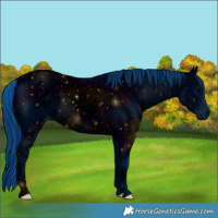 Horse Color:ERROR: UNKNOWN ANOMALY