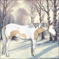 Horse Color:Silver Buckskin Roan Splash Tobiano 