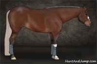 Horse Color:Silver Bay 