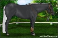 Horse Color:Silver Black Chinchilla 