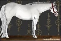 Horse Color:Silver Buckskin Chinchilla Sabino 