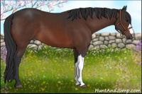 Horse Color:Brown 