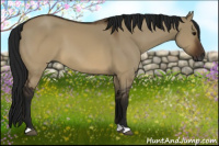 Horse Color:Gray Brown Dun 