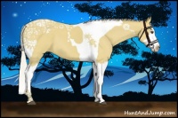 Horse Color:Silver Buckskin Splash Tobiano