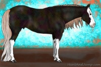 Horse Color:Midnight Chestnut Ice Splash