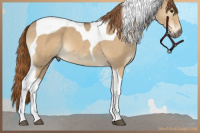 Horse Color:Red Dun Tobiano