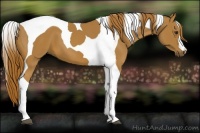 Horse Color:Chestnut Tobiano 