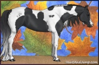 Horse Color:Black Tobiano 