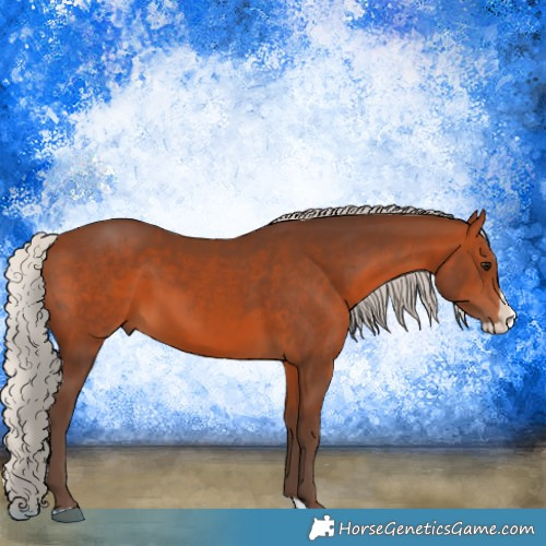 Horse Color:Silver Brown Splash 