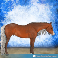 Horse Color:Silver Brown Splash