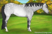 Horse Color:Brown Chinchilla Ice Roan 